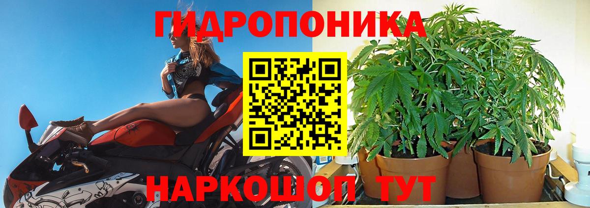 Конопля White Widow  Канабис индика  Вход с VPN  Конопля марихуана  Симферополь 